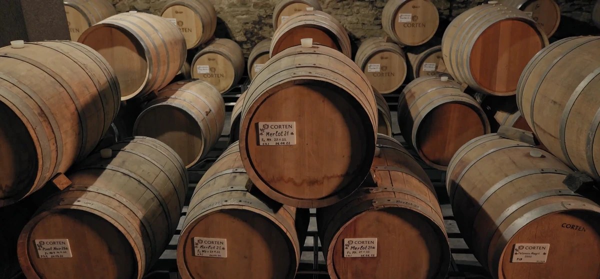CORTEN oak barrels ageing in the cellar